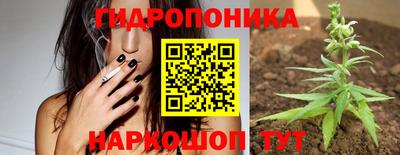стаф Будённовск
