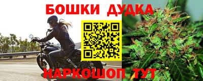 стаф Будённовск