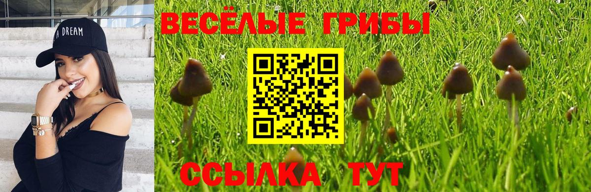 Галлюциногенные грибы мицелий  Вход с VPN  Ростов-на-Дону 