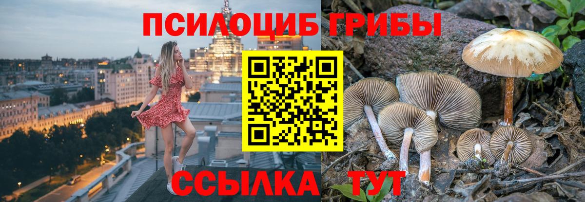 Псилоцибиновые грибы Cubensis Ростов-на-Дону